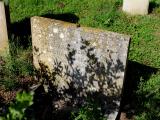image of grave number 342613